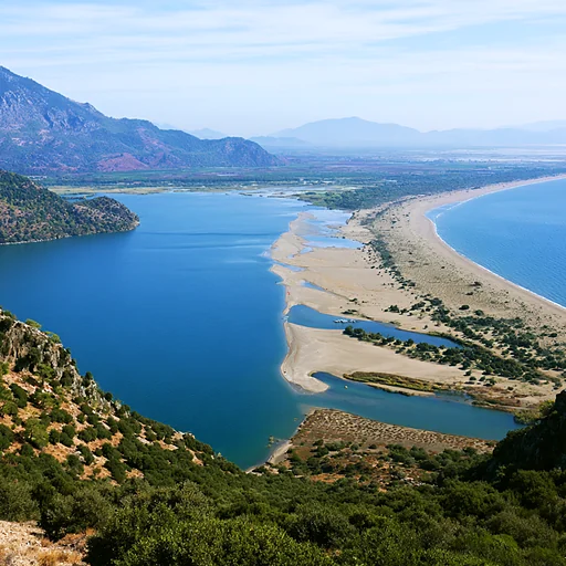 Dalyan’da sığ suda yüzen deniz kaplumbağası
